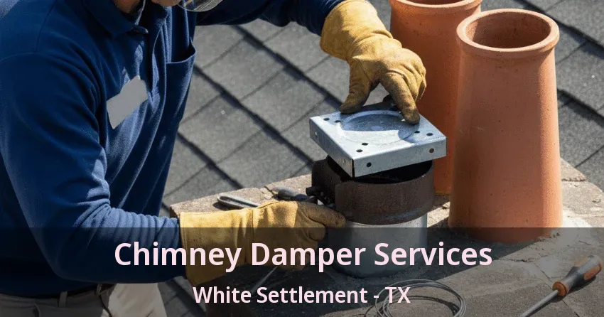Chimney Damper Services White Settlement - TX