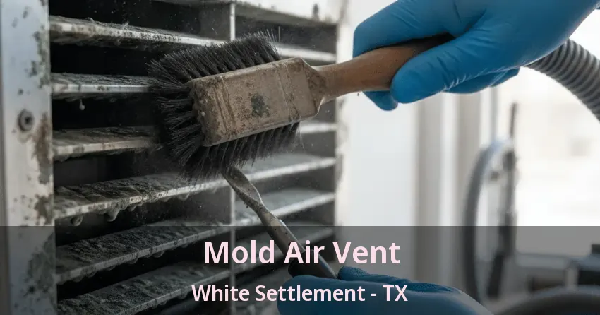 Mold Air Vent White Settlement - TX