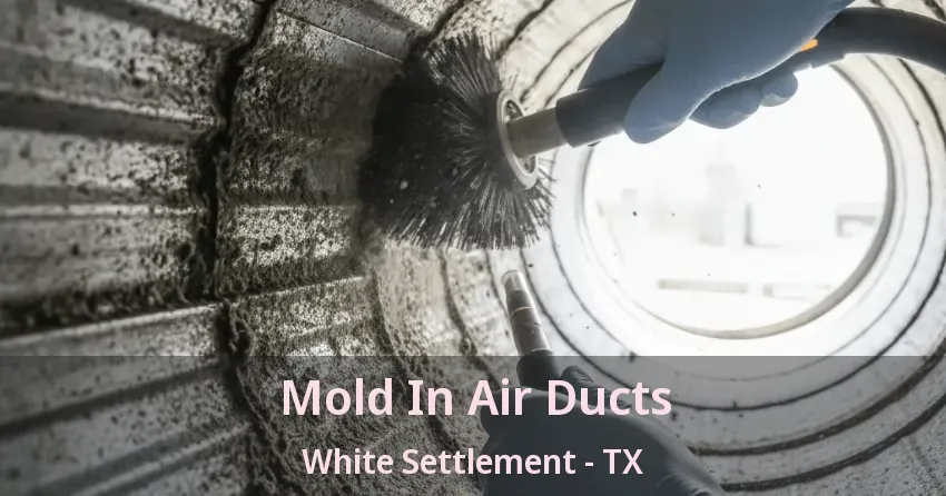 Mold In Air Ducts White Settlement - TX Mold In Air Ducts White Settlement - TX