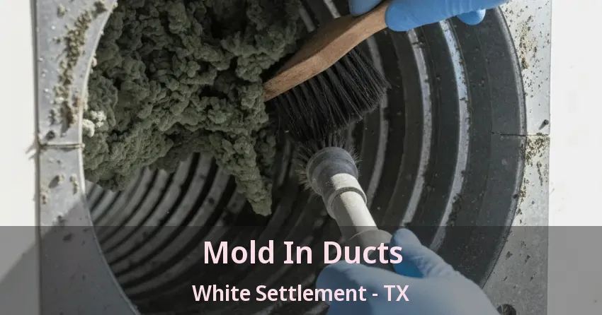 Mold In Ducts White Settlement - TX