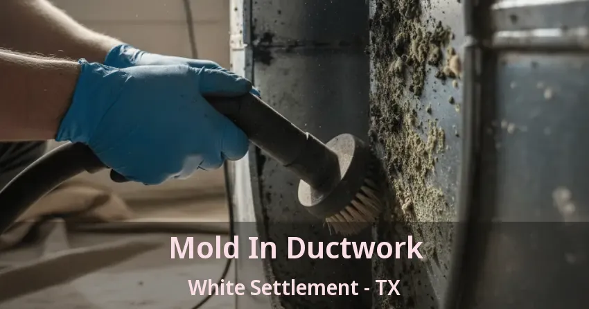 Mold In Ductwork White Settlement - TX Mold In Ductwork White Settlement - TX