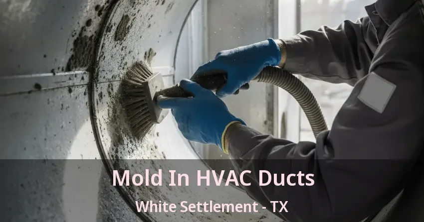 Mold In HVAC Ducts White Settlement - TX Mold In HVAC Ducts White Settlement - TX