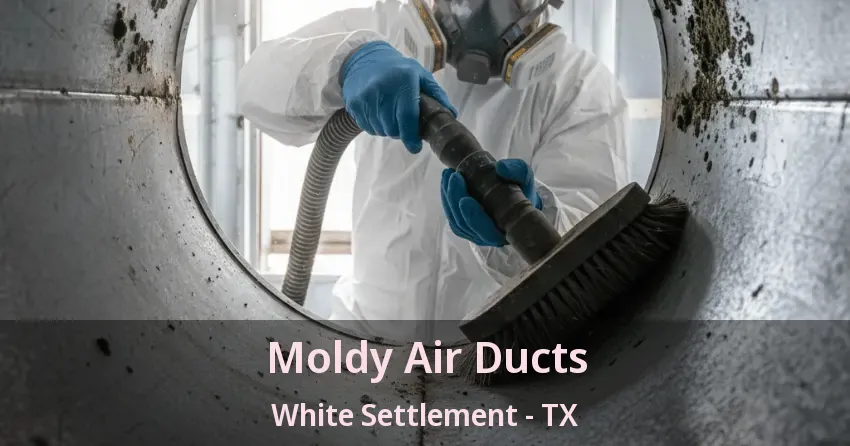 Moldy Air Ducts White Settlement - TX Moldy Air Ducts White Settlement - TX